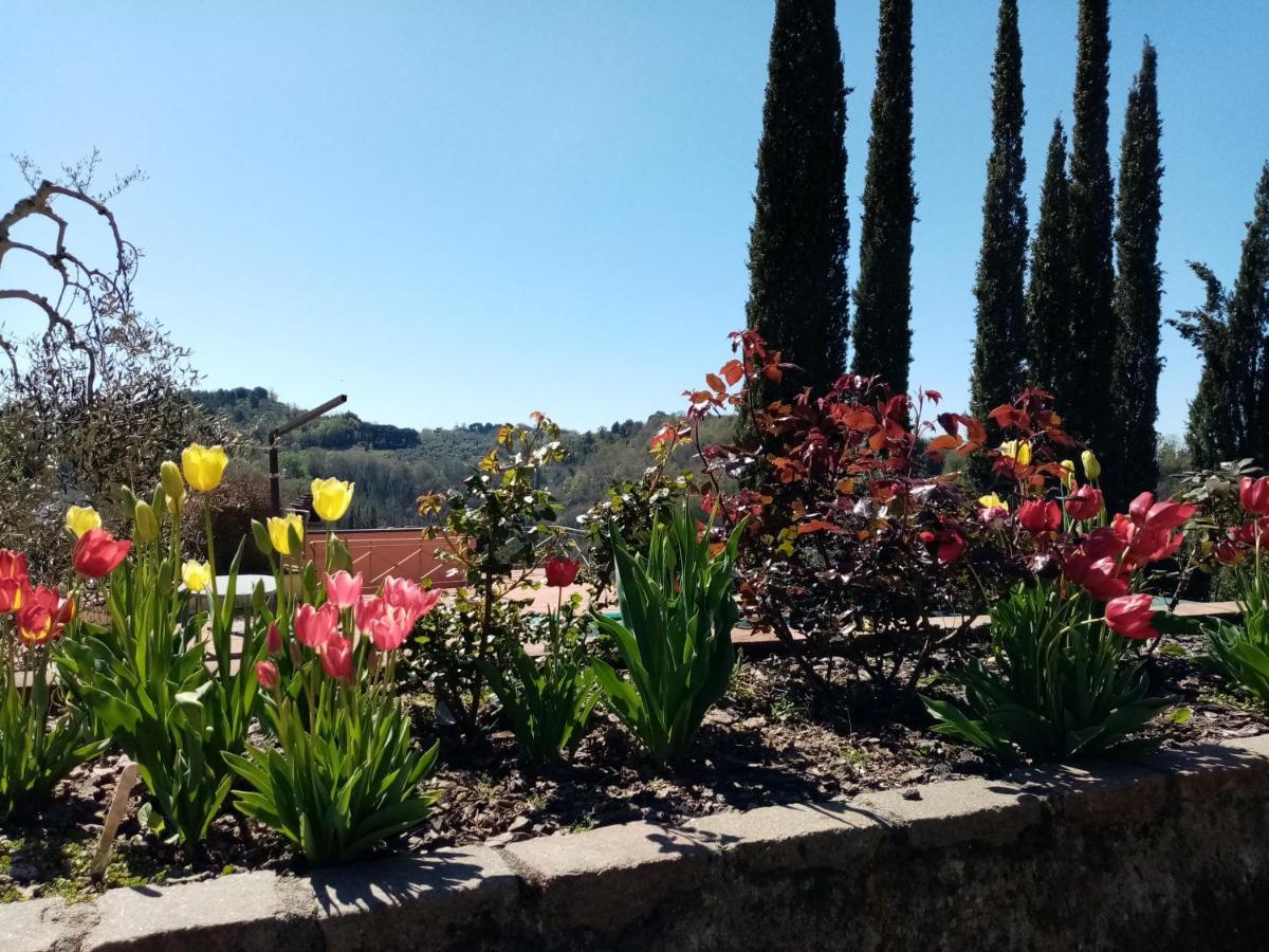 Gervasella Villa Pontedera Eksteriør billede