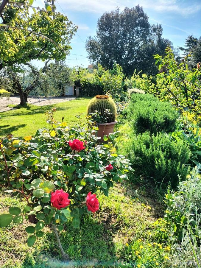 Gervasella Villa Pontedera Eksteriør billede